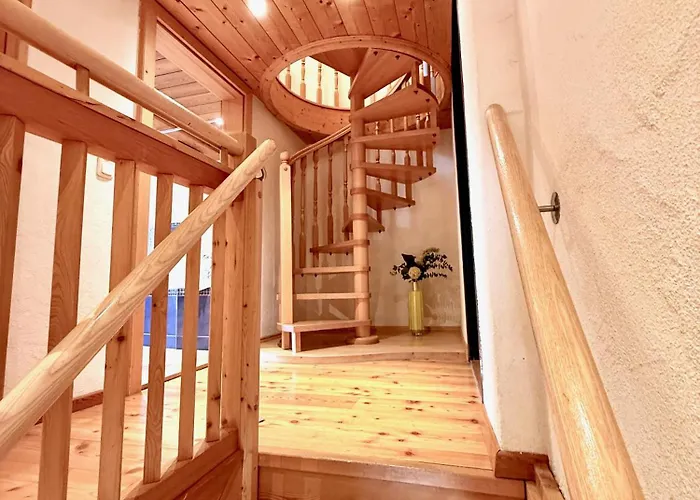 Belle Wild By Belle *