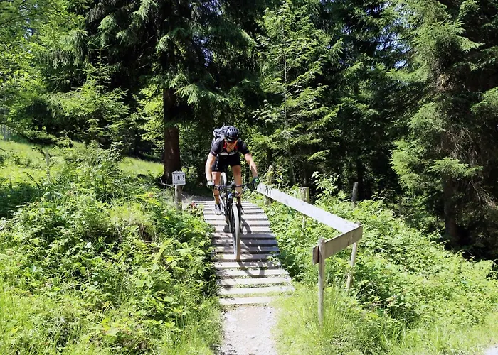 Belle Wild By Belle *